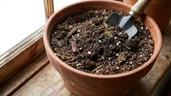 Revitaliseer de bodem in bloementuinen: een praktische gids voor stadstuiniers!